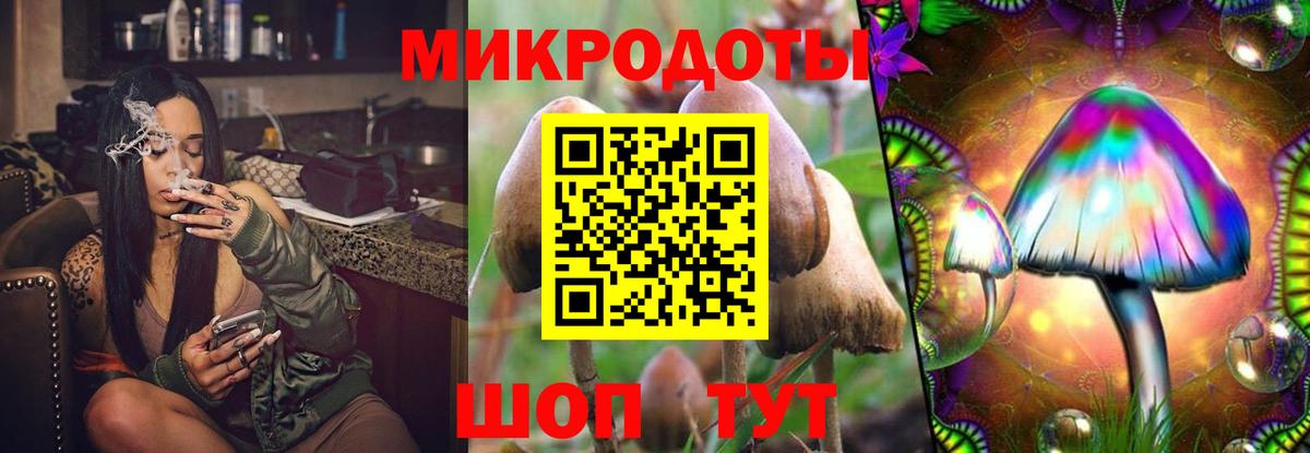 Псилоцибиновые грибы GOLDEN TEACHER  Вход с VPN  Псилоцибиновые грибы мицелий  Щёлково 